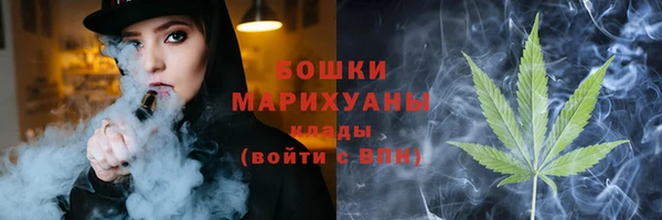 соль ск Кодинск